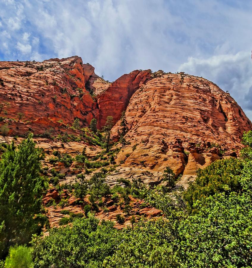 Zion National Park In Summer Photograph by Dan Sproul