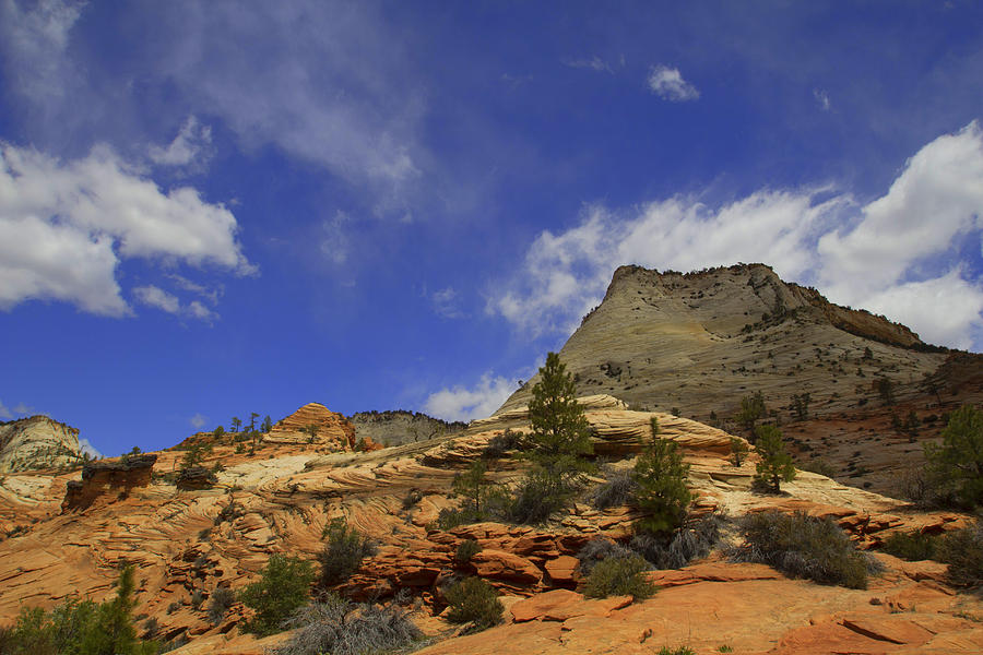 Zion National Park Mountain Photograph by Jonathan Davison