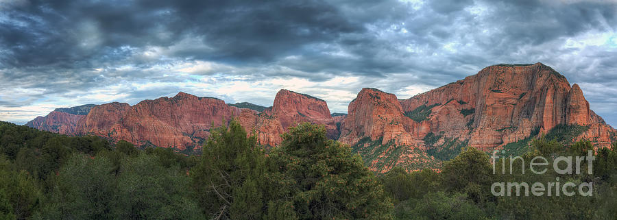 Zion National Park Panorama Photograph by Eddie Yerkish