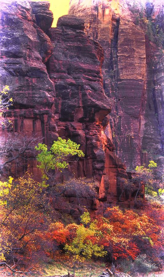 Zion National Park - Waning Colors in the Canyon Near Days End - Autumn Photograph by Michael Mazaika