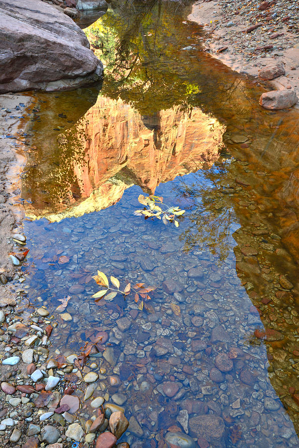 Zion Pool Reflection Photograph by Ray Mathis