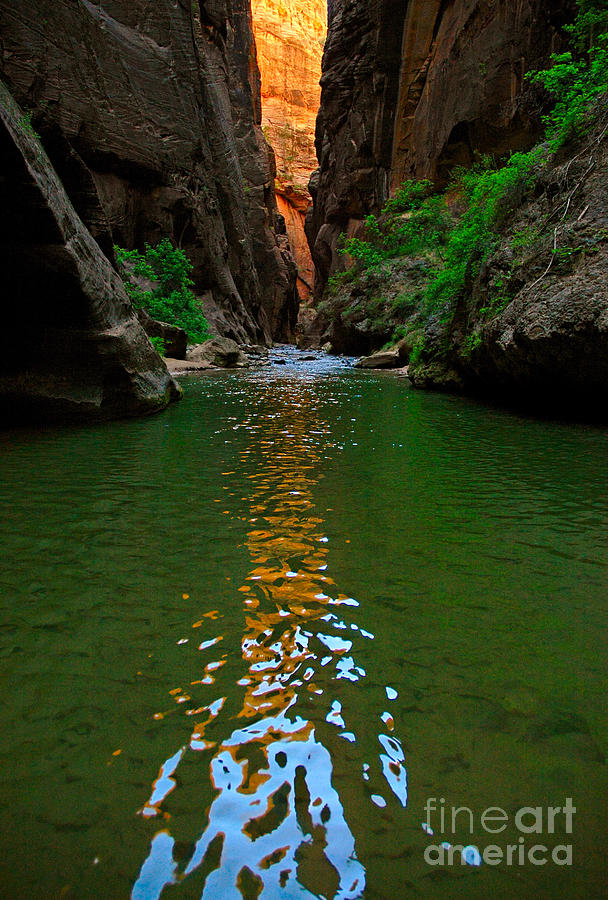 Zion National Park Photograph - Zion Reflections - The Narrows at Zion National Park. by Jamie Pham