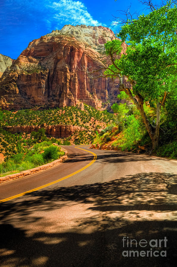 Zion Roads Photograph by Kelly Wade