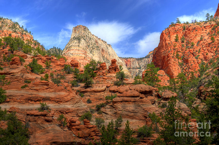 Zion Utah Photograph by Kelly Wade