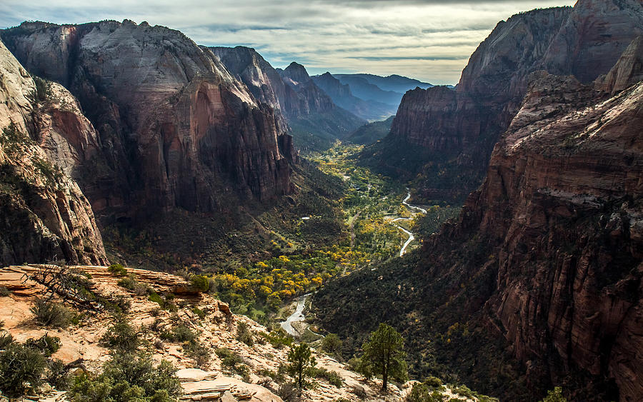 Zion Valley from the summit of Angels Landing Photograph by Pierre Leclerc Photography