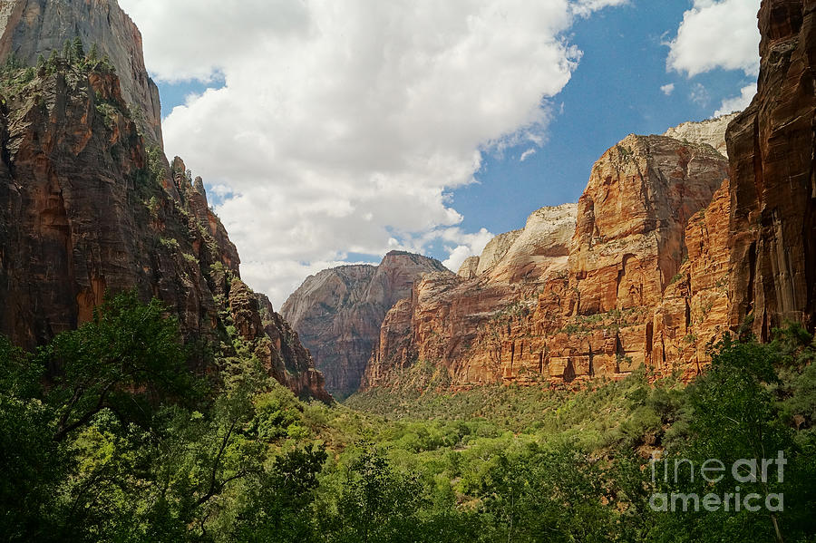 Zion Valley Photograph by Shawn Smith