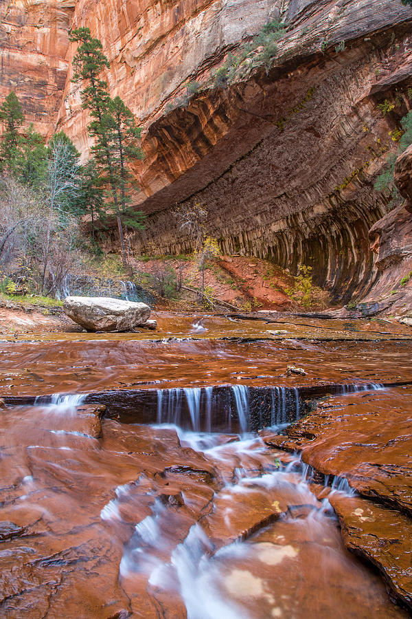 Zion Wilderness Photograph by Pierre Leclerc Photography