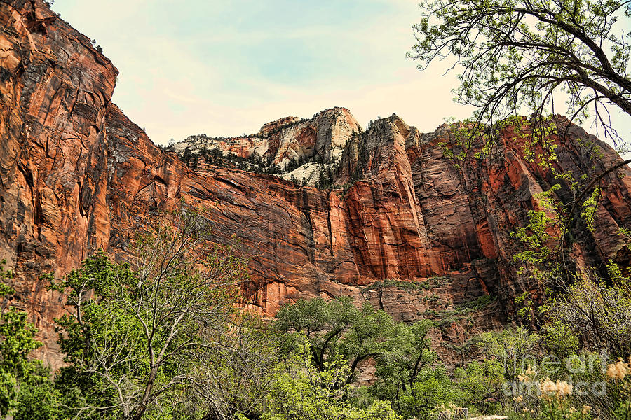 Zion National Park Photograph - Zion XVII by Chuck Kuhn