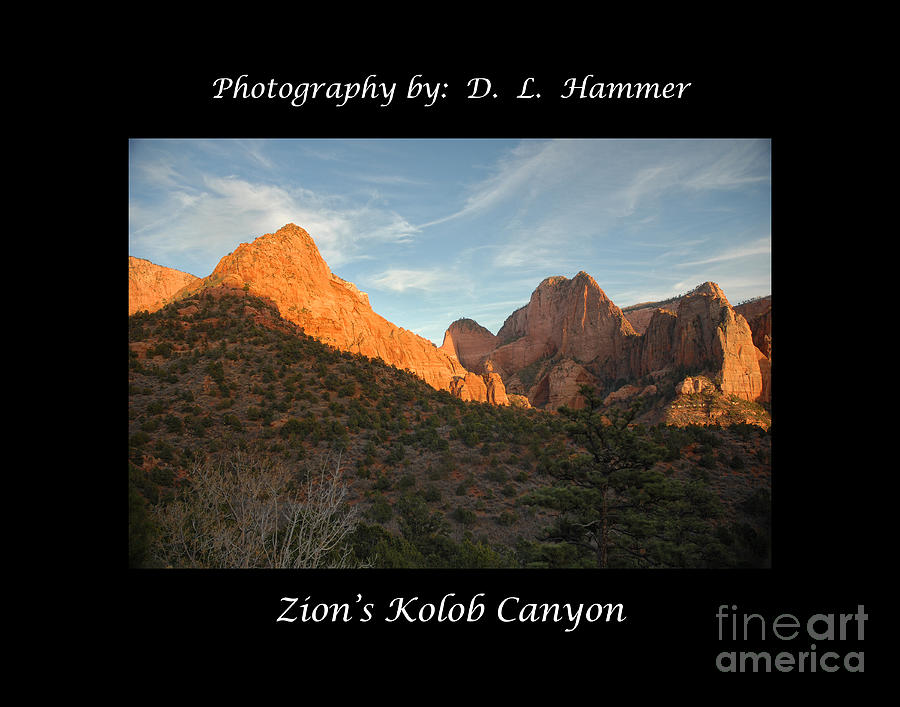 Zion National Park Photograph - Zions Kolob Canyon by Dennis Hammer