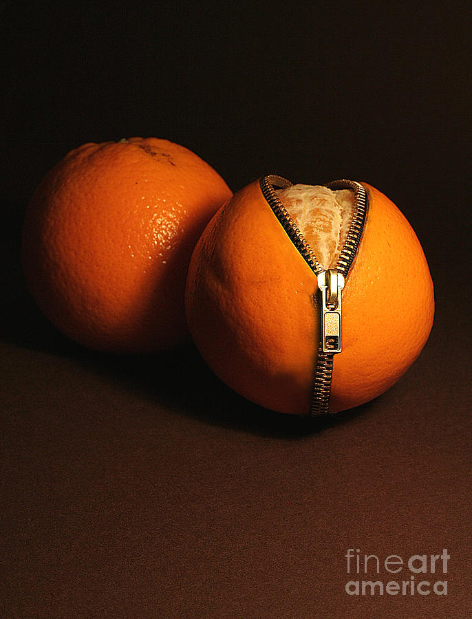 Zipped Oranges Photograph by Jaroslaw Blaminsky