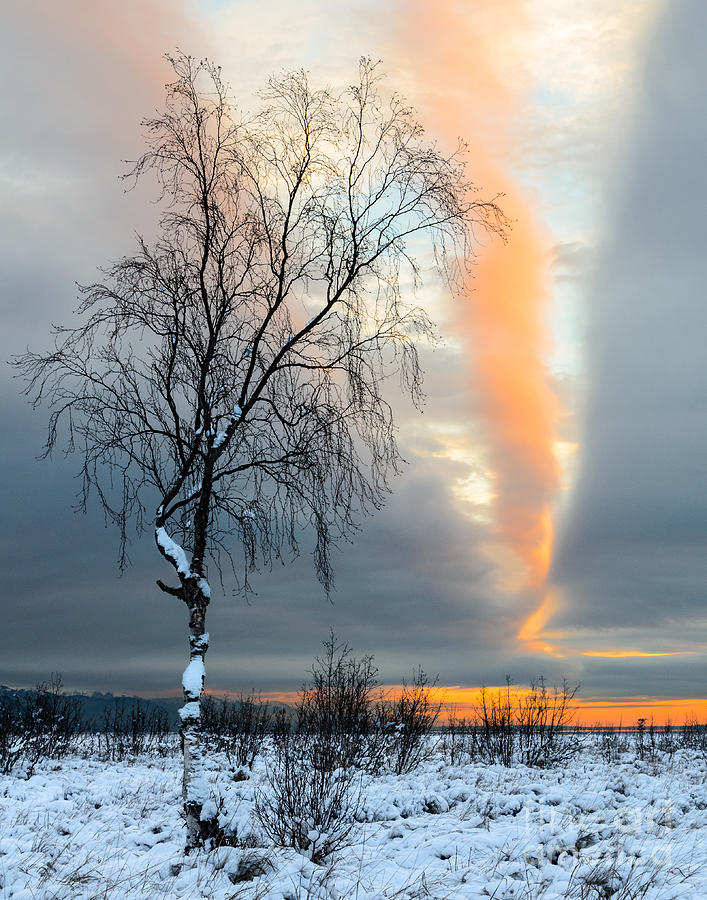 Landscape Photograph - Zipper in the Sky by Susan Serna