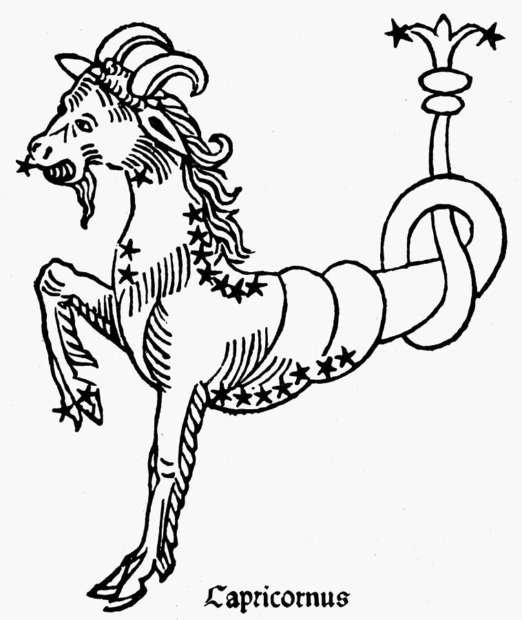 Zodiac Capricorn, 1482 Drawing by Granger