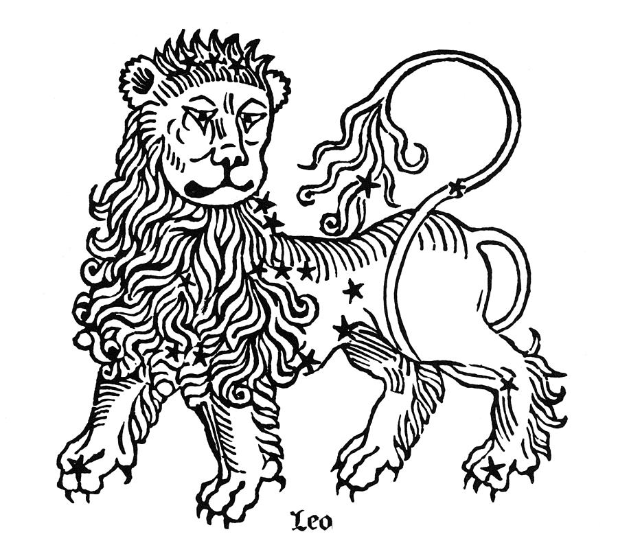 Zodiac Leo, 1482 Drawing by Granger