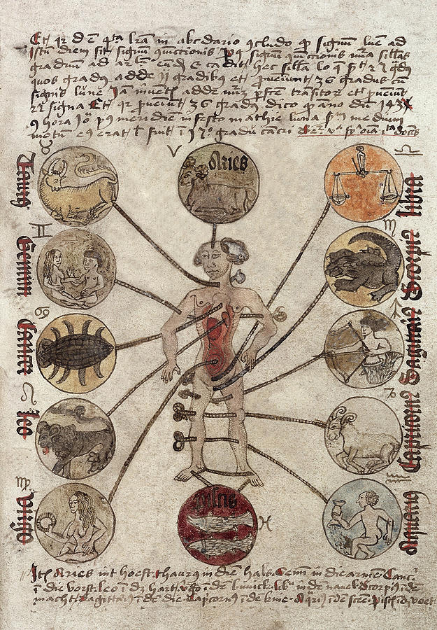 Zodiac Man, Medical Astrology, 1488 Photograph by Wellcome Images