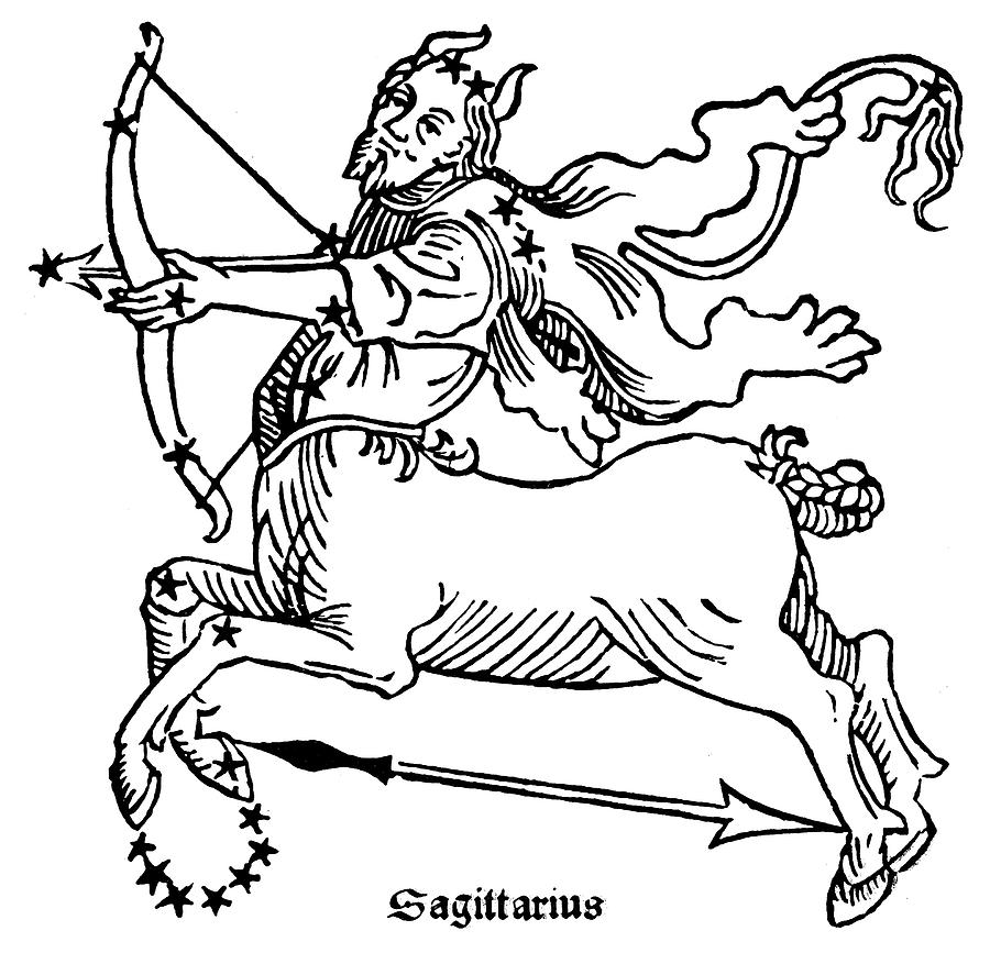 Zodiac Sagittarius, 1482 Drawing by Granger