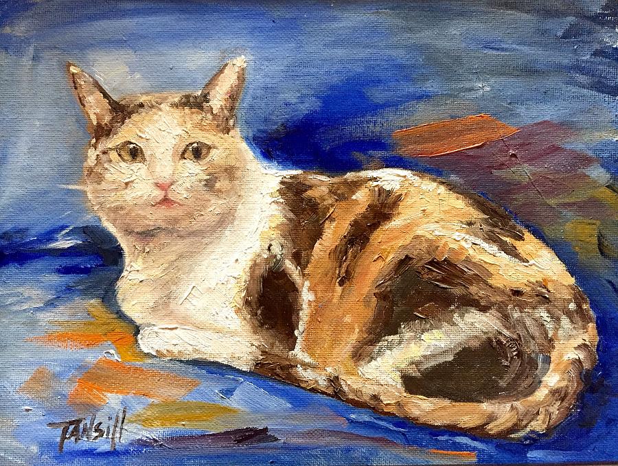 Zoe the Cat Painting by Tansill Stough - Fine Art America