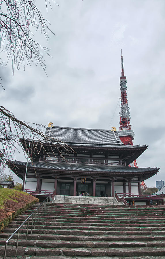 Zojoji Temple Photograph by Guy Whiteley