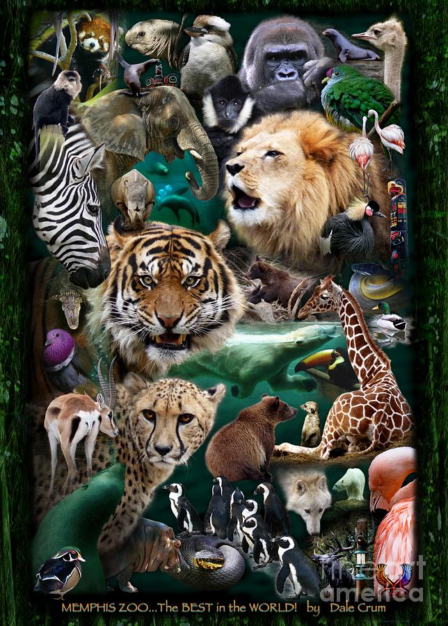 Zoo Collection Photograph by Dale Crum