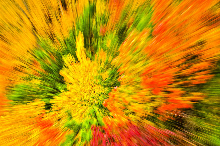 Zooming in on Autumn Photograph by Winnie Chrzanowski