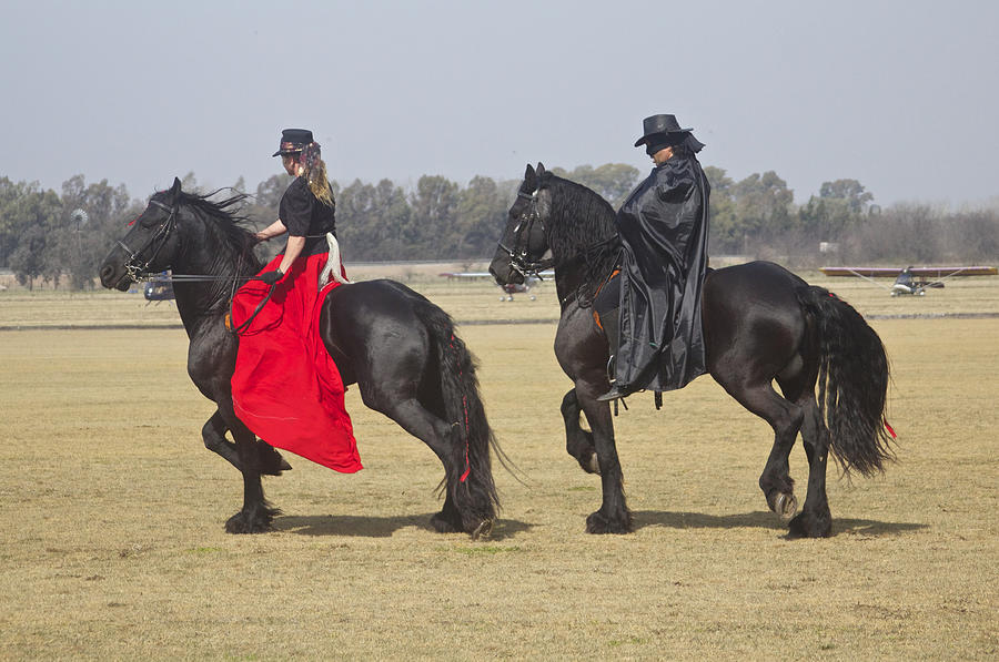 Zorro and his Lady on their Friesian Horses Photograph by Venetia Featherstone-Witty