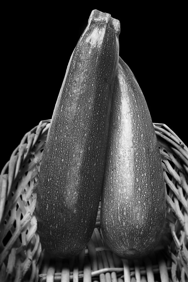 Black And White Photograph - Zucchini Squash by Donald  Erickson