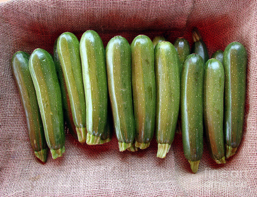 Zucchinis Photograph by Olivier Le Queinec