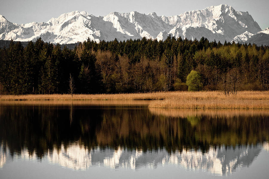 Zugspitze Photograph by Michael Fellner