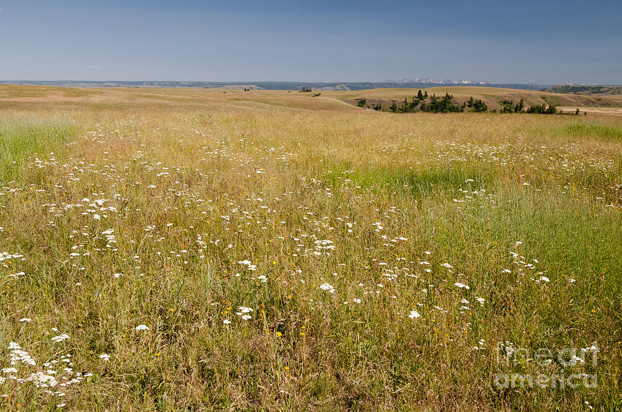 Zumwalt Prairie, Or Photograph by William H. Mullins