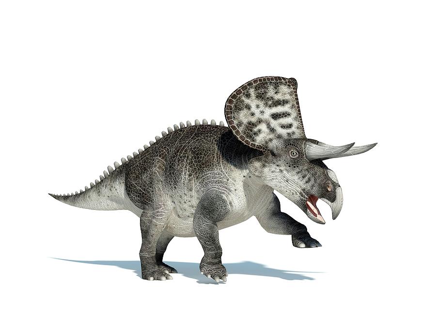 Zuniceratops Dinosaur, Artwork Digital Art by Leonello Calvetti