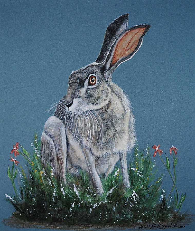 Rabbit Painting - Zydeco Joe Jackrabbit by DiDi Higginbotham
