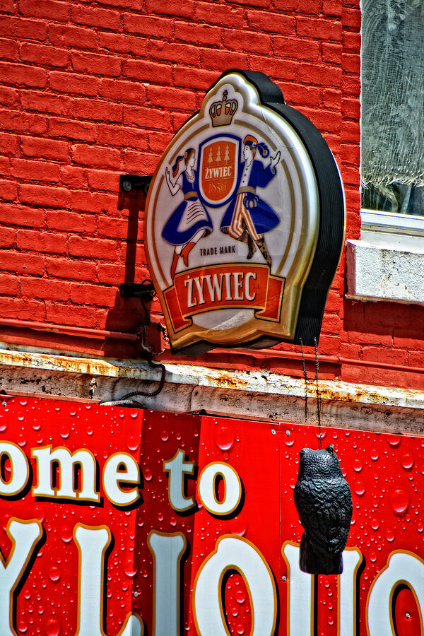 Beer Photograph - Zywiec Beer by Mike Martin