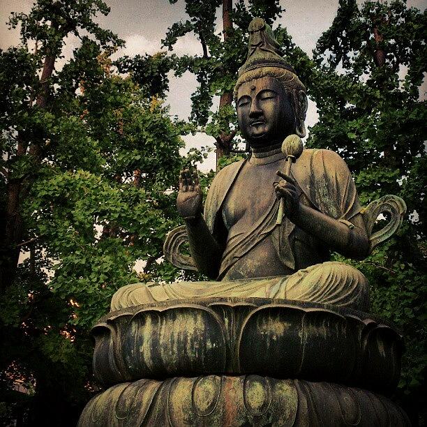 Buddha Photograph - 浅草寺 観音菩薩  Avalokitesvara by My Senx