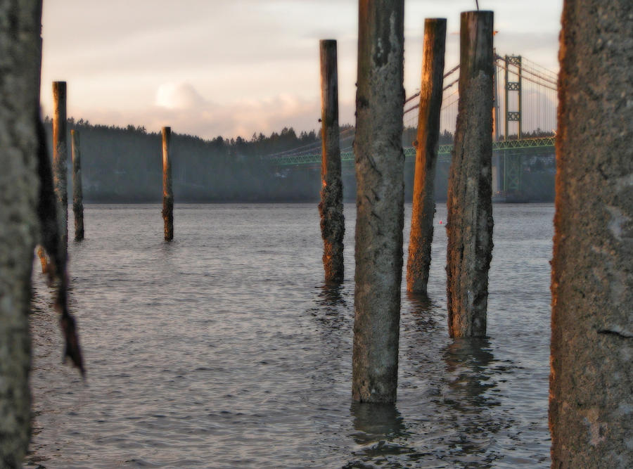  A Titlow Sunset Photograph by Chris Anderson