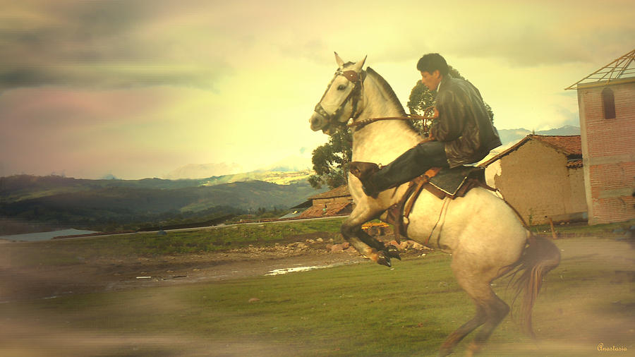  Andean Rearing Horse-Cuzco Caballero Photograph by Anastasia Savage Ealy