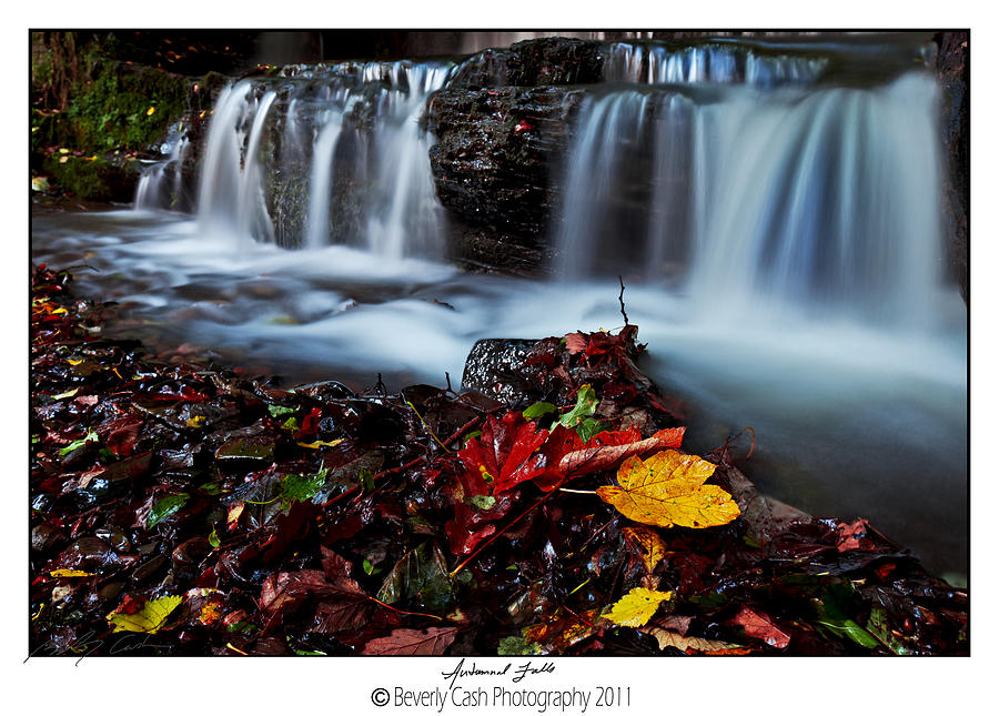  Autumnal Falls Photograph by B Cash