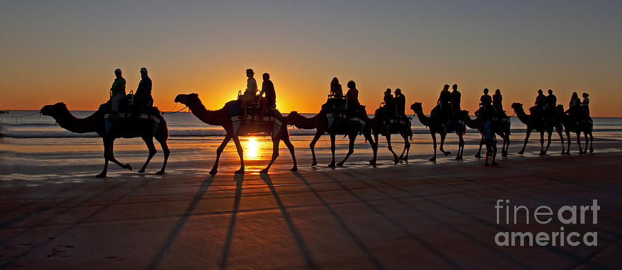 Sunset Photograph -  Beached  Camels by Raoul Madden