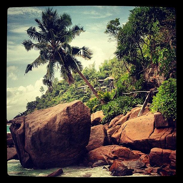 Summer Photograph - 💗 Beautiful Seychelles 💗 by Purple Delights