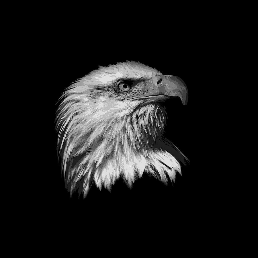  Black and White Painted Eagle Photograph by Steve McKinzie