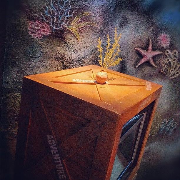 Underwater Photograph - 🌾📺 Box 🐚 by Nancy Nancy