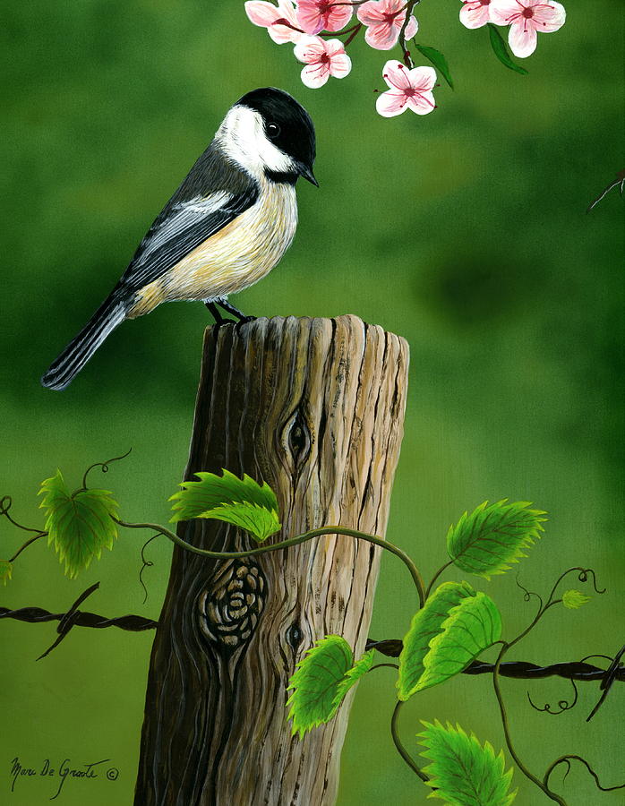 Chickadee On Post Painting By Marc De Groote - Fine Art America