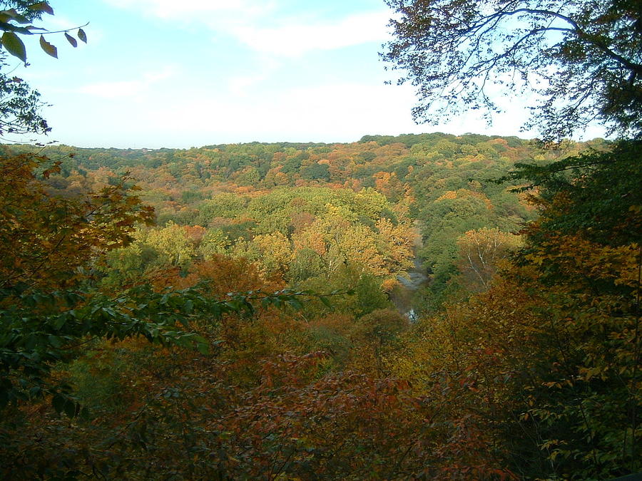 Cleveland Photograph -  Cleveland Metro Parks - Bedford Gorge Overlook II by S Taylor