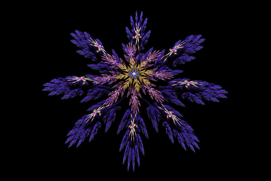  Digital Fractal Art Abstract Blue Purple Flower Image Black Background Photograph by Keith Webber Jr