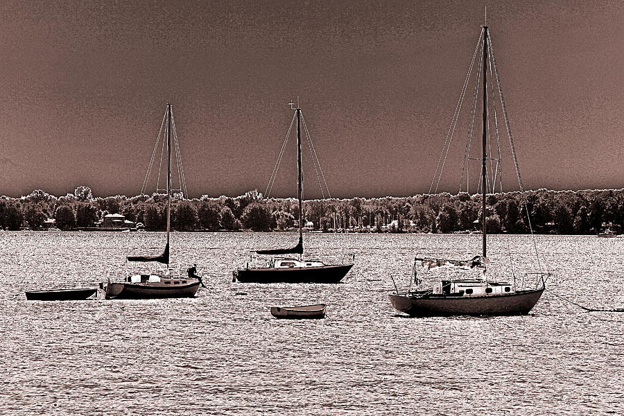  Docked In Sepia Photograph by Burney Lieberman