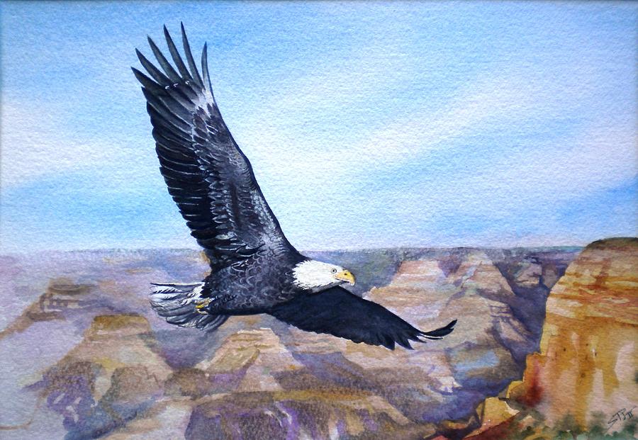 American flag bald eagle | Bald Eagle American Flag 
