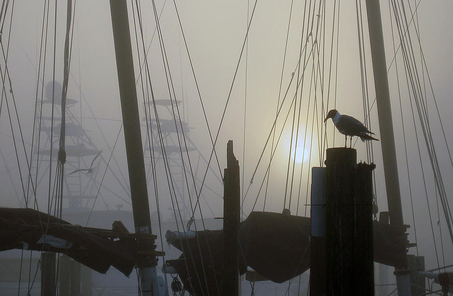  Early Morning at the Boat Docks Photograph by Dorothy Cunningham