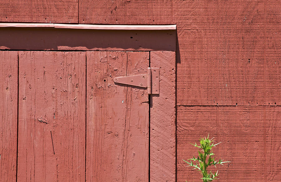  Faded Red Wood Barn Wall Photograph by David Letts