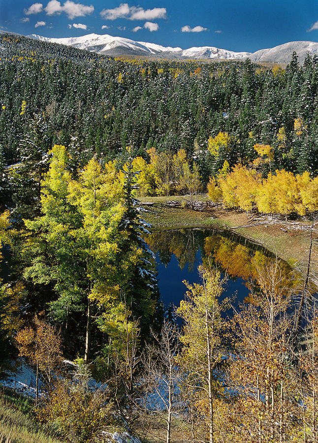  Fall Color On Bobcat Pass Photograph by Ron Weathers