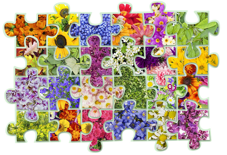 Floral Puzzles Abstract Concept Photograph by Aleksandr Volkov