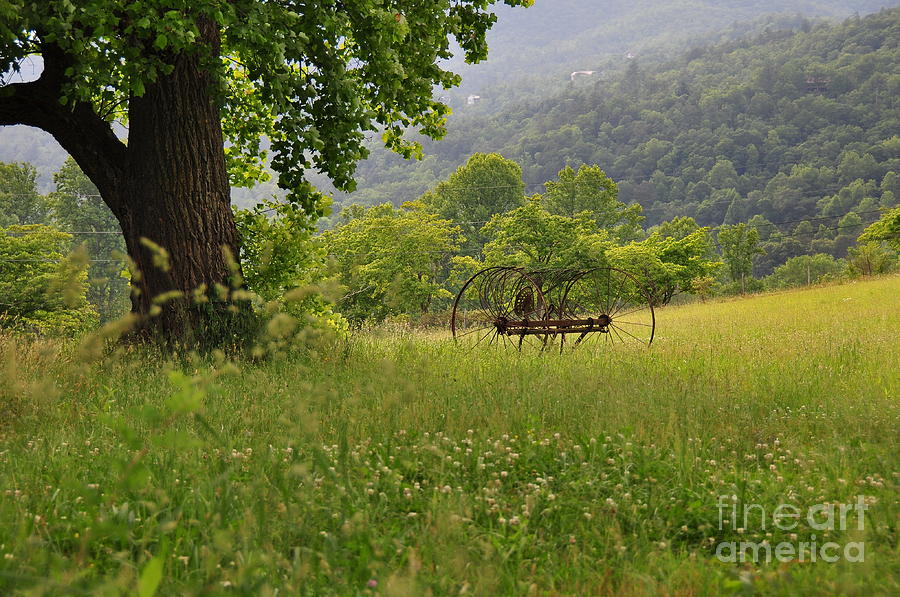  Hay Rake Rests in Mountain Meadow Photograph by Wayne Nielsen