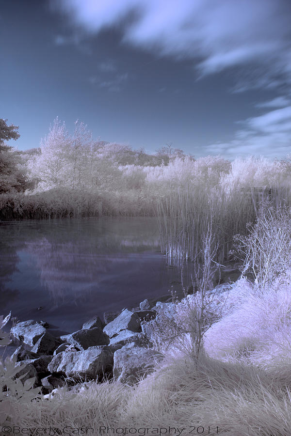  Infrared pond Photograph by B Cash